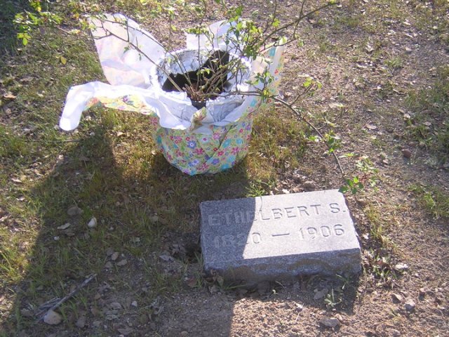 Harris Flat Ayrshire at Harris' grave