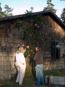 Jeri took this picture of Alice and me looking at the rose.